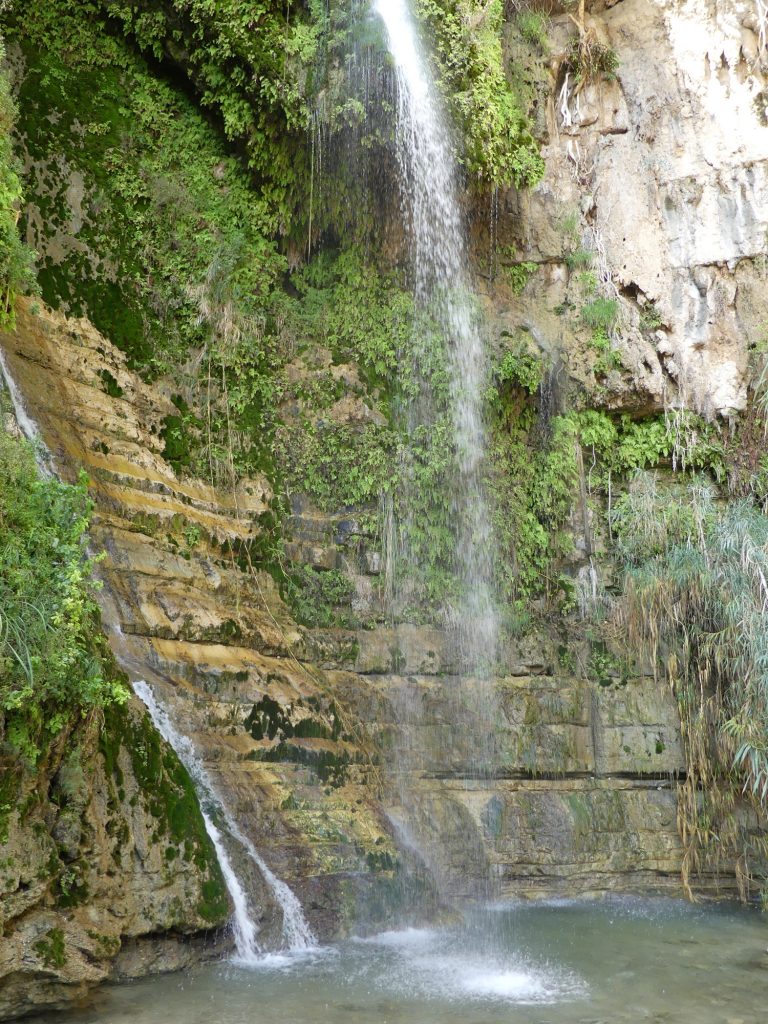 Wasserfall in En Gedi