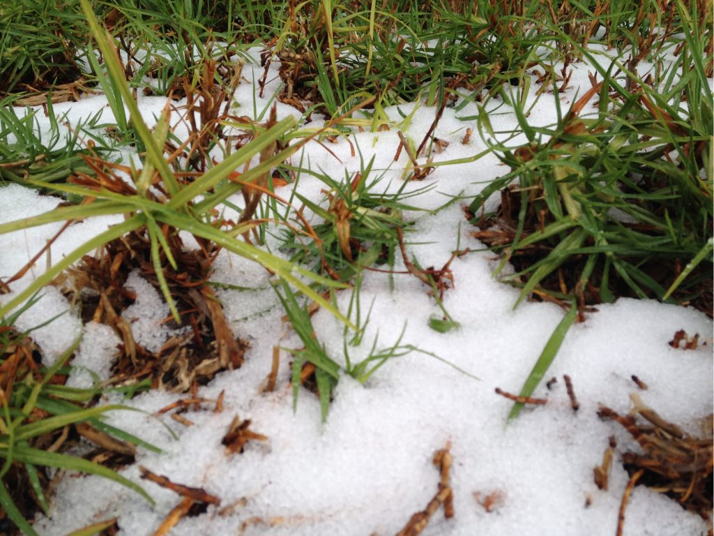 Schnee im Garten des österreichischen Hospizes